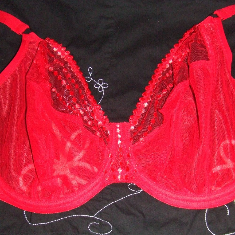Elomi MATILDA Red Mesh Bra & Goddess KAYLA Panty - Picture 4 of 11